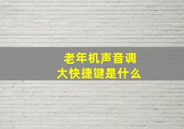 老年机声音调大快捷键是什么