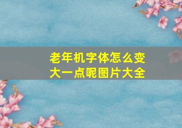 老年机字体怎么变大一点呢图片大全