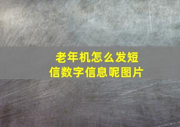 老年机怎么发短信数字信息呢图片