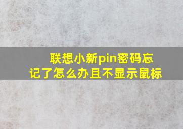 联想小新pin密码忘记了怎么办且不显示鼠标