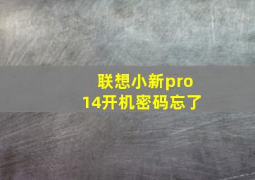 联想小新pro14开机密码忘了