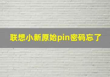 联想小新原始pin密码忘了