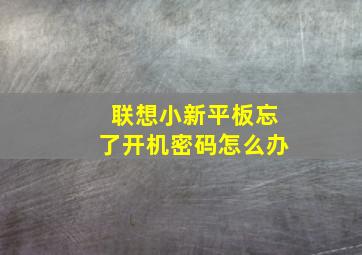 联想小新平板忘了开机密码怎么办