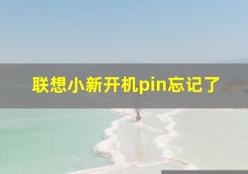 联想小新开机pin忘记了