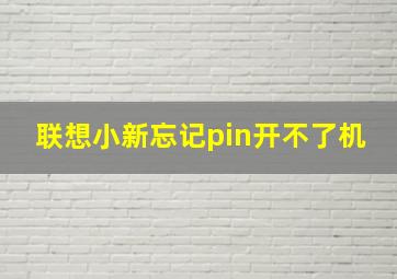 联想小新忘记pin开不了机