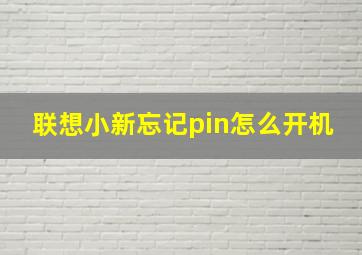 联想小新忘记pin怎么开机