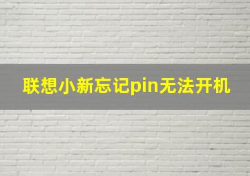 联想小新忘记pin无法开机