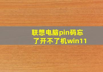 联想电脑pin码忘了开不了机win11