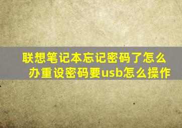 联想笔记本忘记密码了怎么办重设密码要usb怎么操作