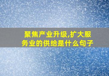 聚焦产业升级,扩大服务业的供给是什么句子