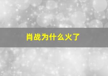 肖战为什么火了