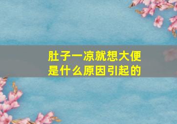 肚子一凉就想大便是什么原因引起的