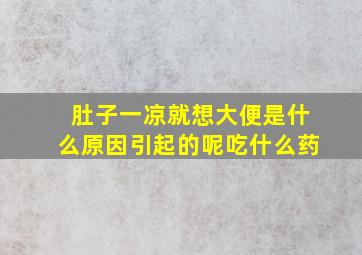 肚子一凉就想大便是什么原因引起的呢吃什么药