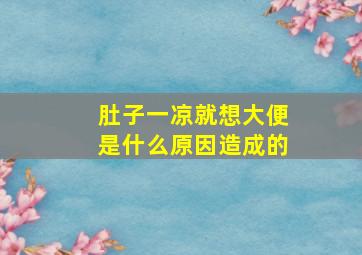 肚子一凉就想大便是什么原因造成的