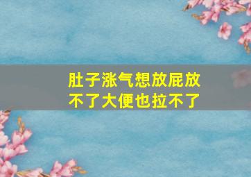 肚子涨气想放屁放不了大便也拉不了