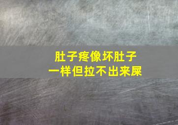 肚子疼像坏肚子一样但拉不出来屎