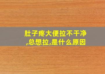 肚子疼大便拉不干净,总想拉,是什么原因