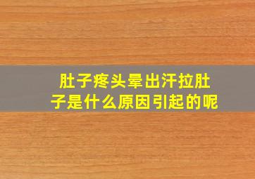 肚子疼头晕出汗拉肚子是什么原因引起的呢