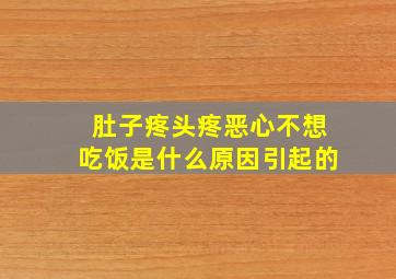 肚子疼头疼恶心不想吃饭是什么原因引起的