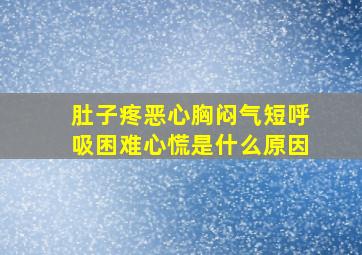 肚子疼恶心胸闷气短呼吸困难心慌是什么原因