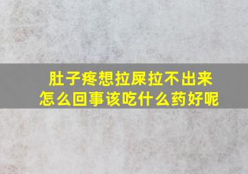 肚子疼想拉屎拉不出来怎么回事该吃什么药好呢