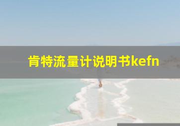 肯特流量计说明书kefn