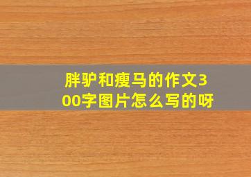 胖驴和瘦马的作文300字图片怎么写的呀