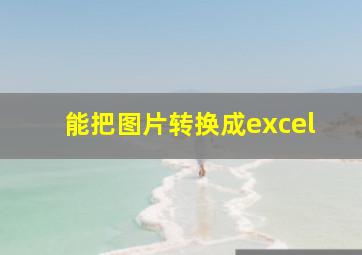 能把图片转换成excel