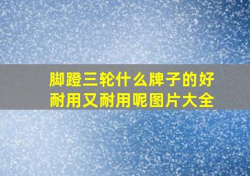 脚蹬三轮什么牌子的好耐用又耐用呢图片大全