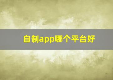 自制app哪个平台好