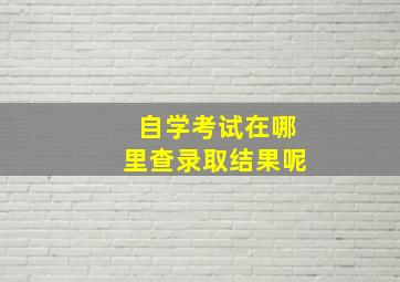 自学考试在哪里查录取结果呢