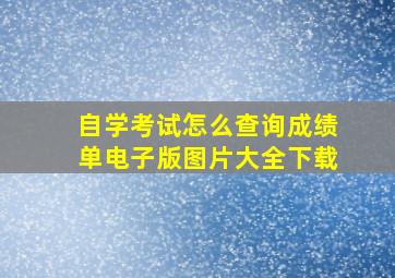 自学考试怎么查询成绩单电子版图片大全下载