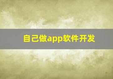 自己做app软件开发