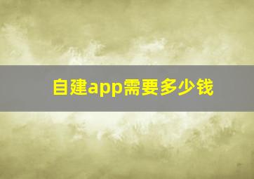 自建app需要多少钱