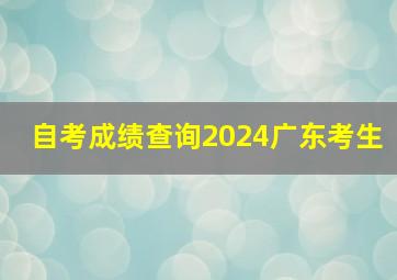 自考成绩查询2024广东考生