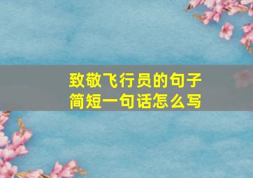 致敬飞行员的句子简短一句话怎么写