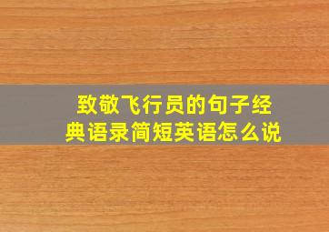 致敬飞行员的句子经典语录简短英语怎么说