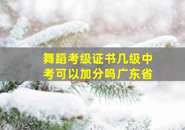 舞蹈考级证书几级中考可以加分吗广东省