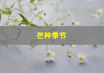 芒种季节