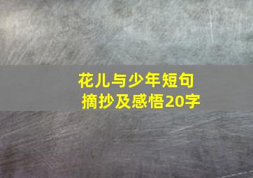 花儿与少年短句摘抄及感悟20字