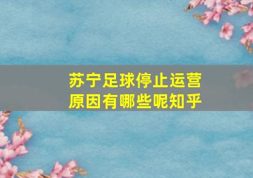 苏宁足球停止运营原因有哪些呢知乎