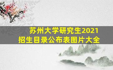 苏州大学研究生2021招生目录公布表图片大全