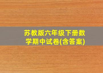 苏教版六年级下册数学期中试卷(含答案)