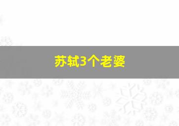 苏轼3个老婆