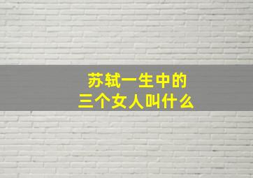 苏轼一生中的三个女人叫什么