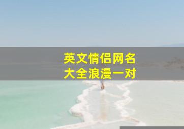 英文情侣网名大全浪漫一对