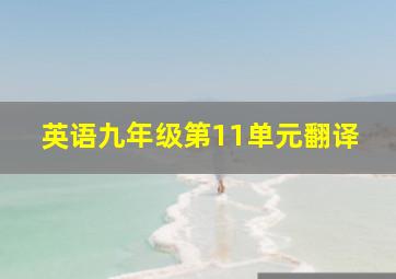 英语九年级第11单元翻译