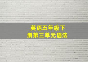 英语五年级下册第三单元语法