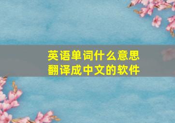 英语单词什么意思翻译成中文的软件