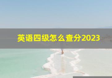 英语四级怎么查分2023